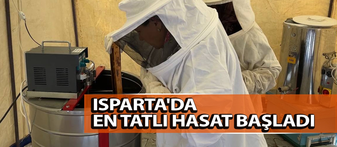 Isparta'da en tatlı hasat başladı