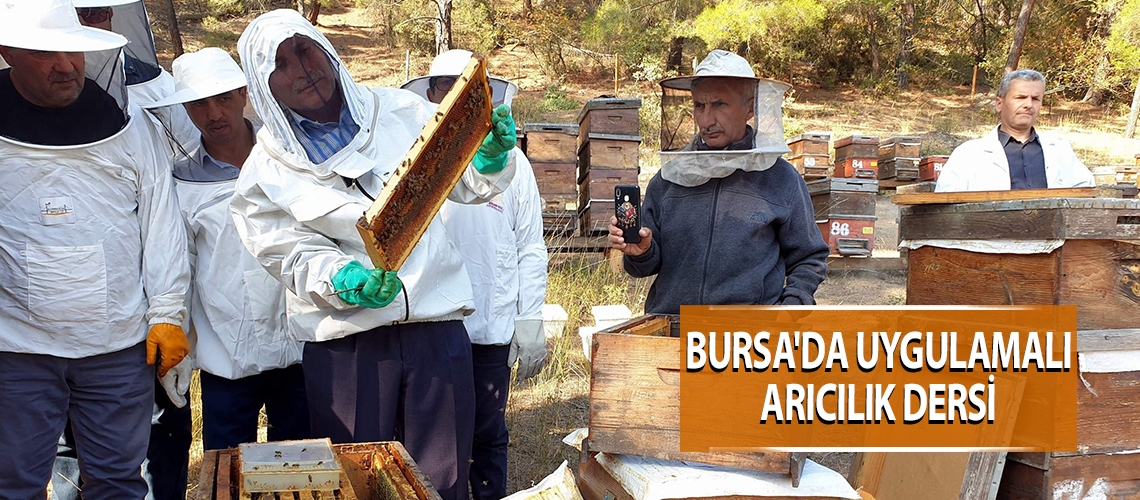 Bursa'da uygulamalı arıcılık dersi