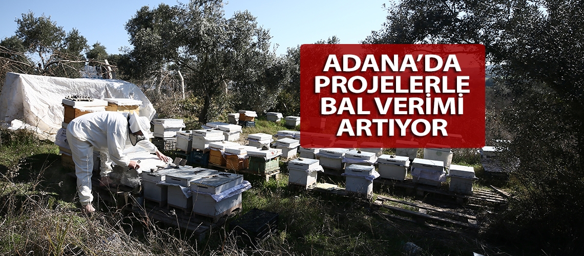 Adana’da projelerle bal verimi artıyor