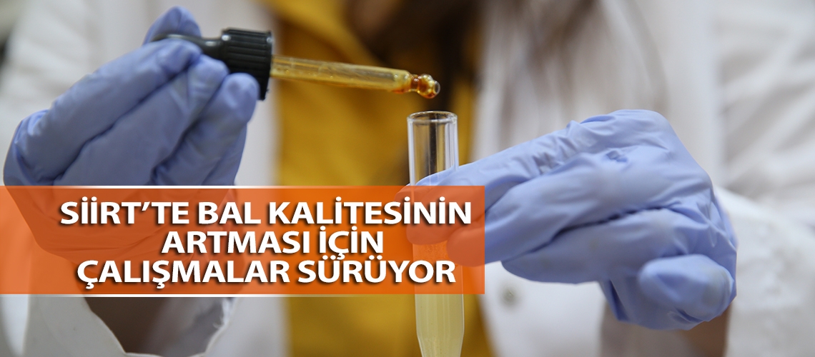 Siirt’te bal kalitesinin artması için çalışmalar sürüyor