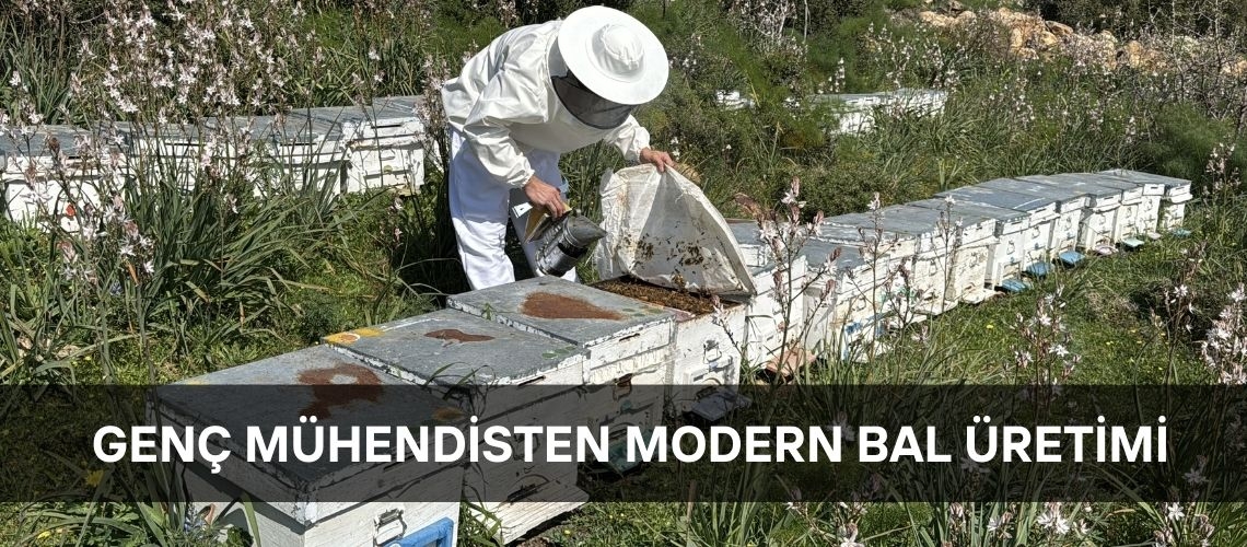 Genç mühendisten modern bal üretimi