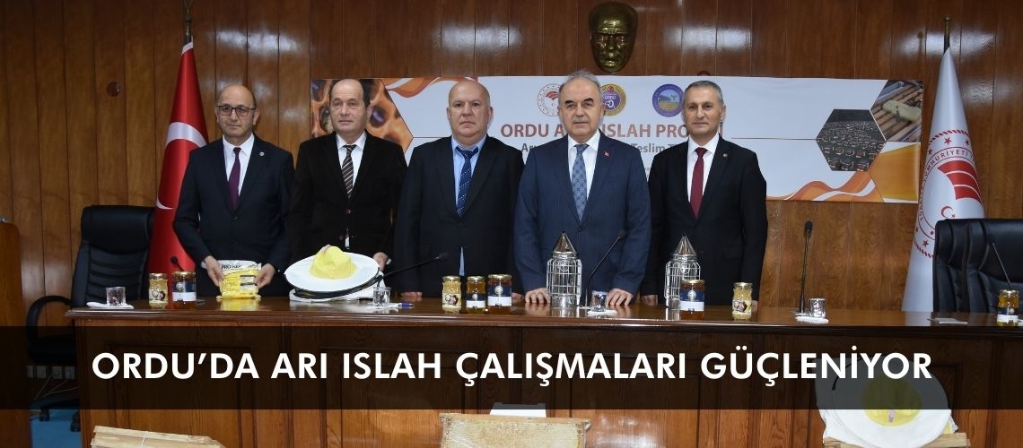 Ordu’da arı ıslah çalışmaları güçleniyor