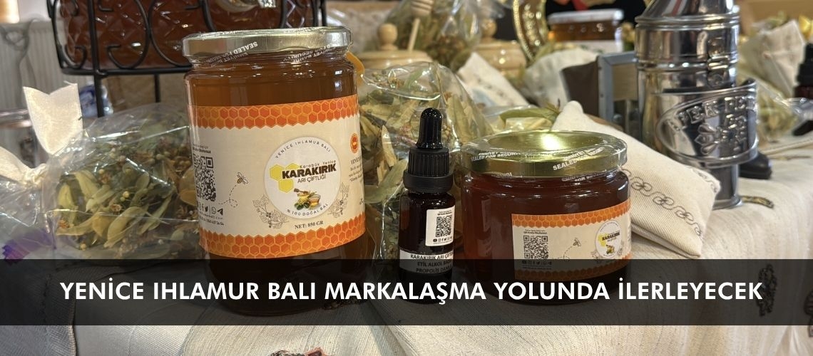 Yenice ıhlamur balı markalaşma yolunda ilerleyecek