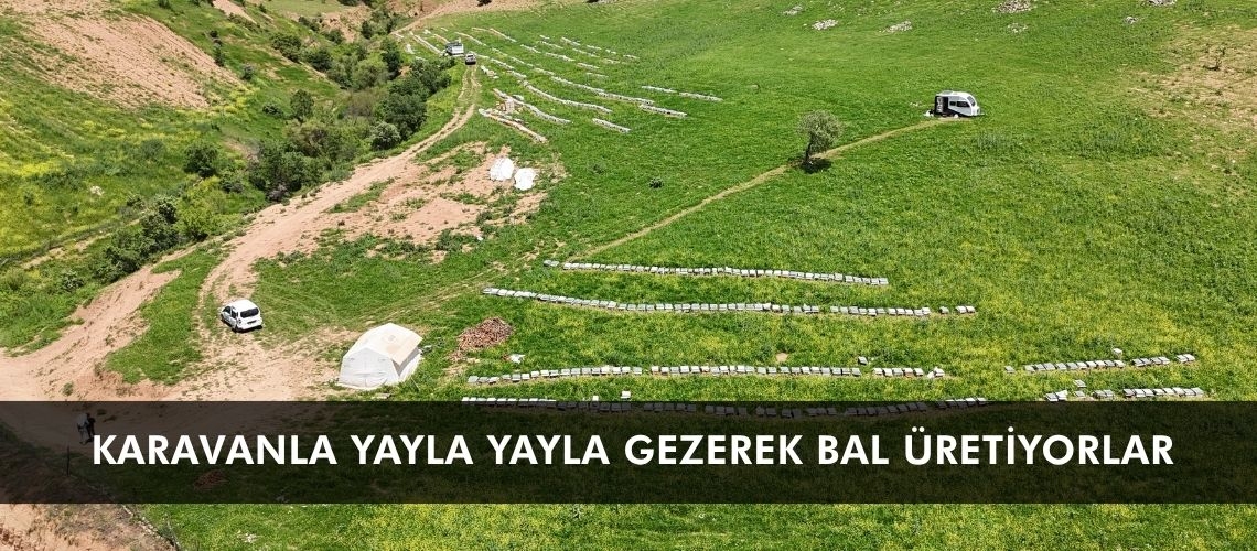 Karavanla yayla yayla gezerek bal üretiyorlar