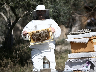 Adana’da projelerle bal verimi artıyor
