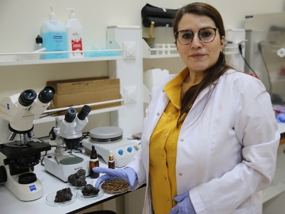 Siirt’te bal kalitesinin artması için çalışmalar sürüyor