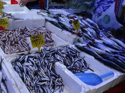 Edirne'de tezgahlar palamutla doldu