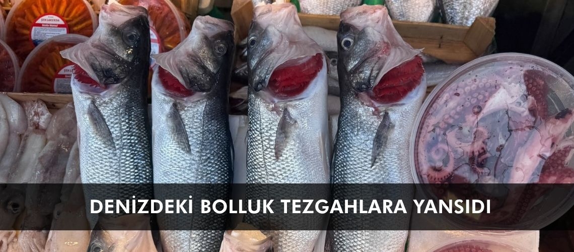 Denizdeki bolluk tezgahlara yansıdı