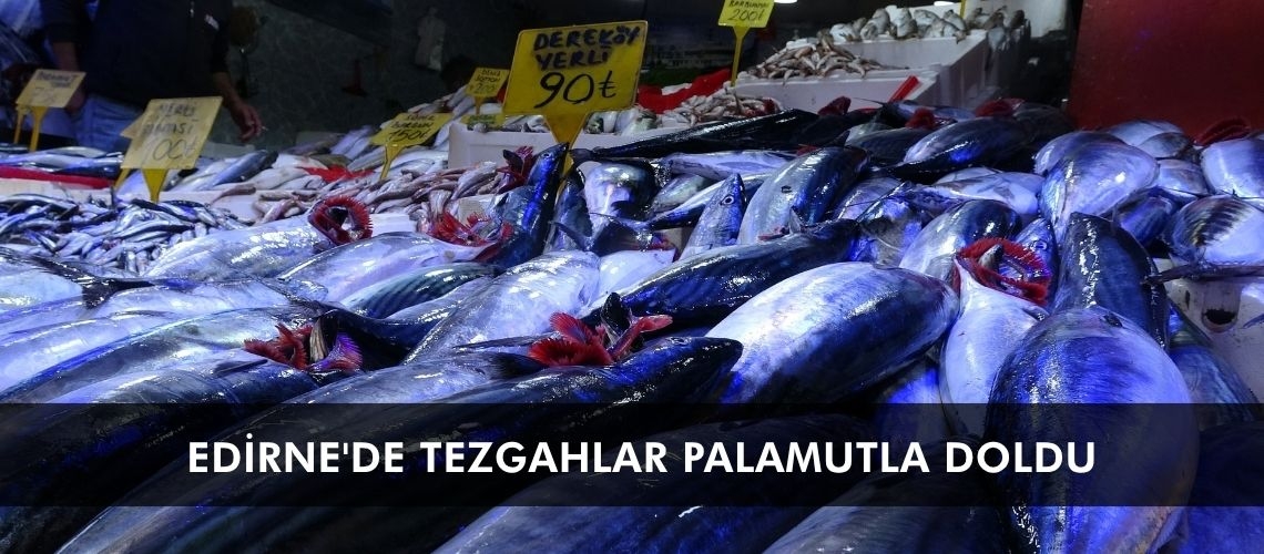 Edirne'de tezgahlar palamutla doldu