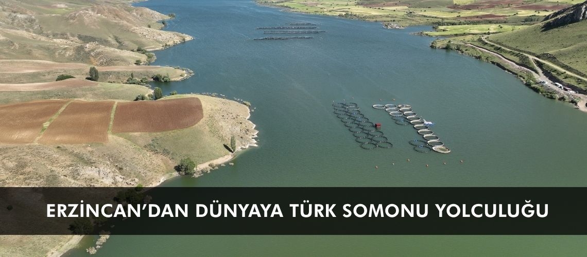 Erzincan’dan dünyaya Türk somonu yolculuğu