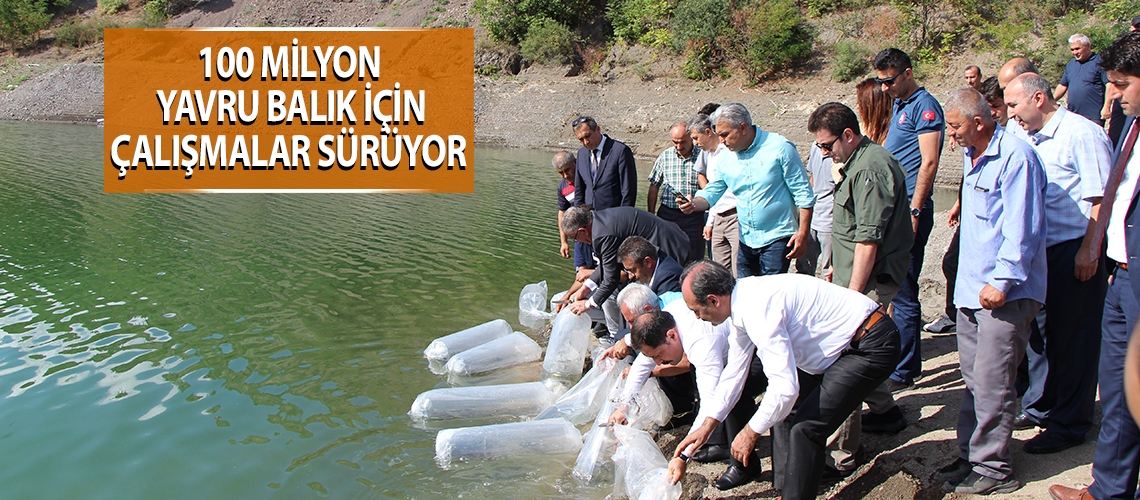 100 milyon yavru balık için çalışmalar sürüyor
