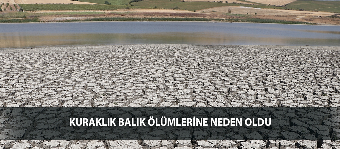 Kuraklık balık ölümlerine neden oldu