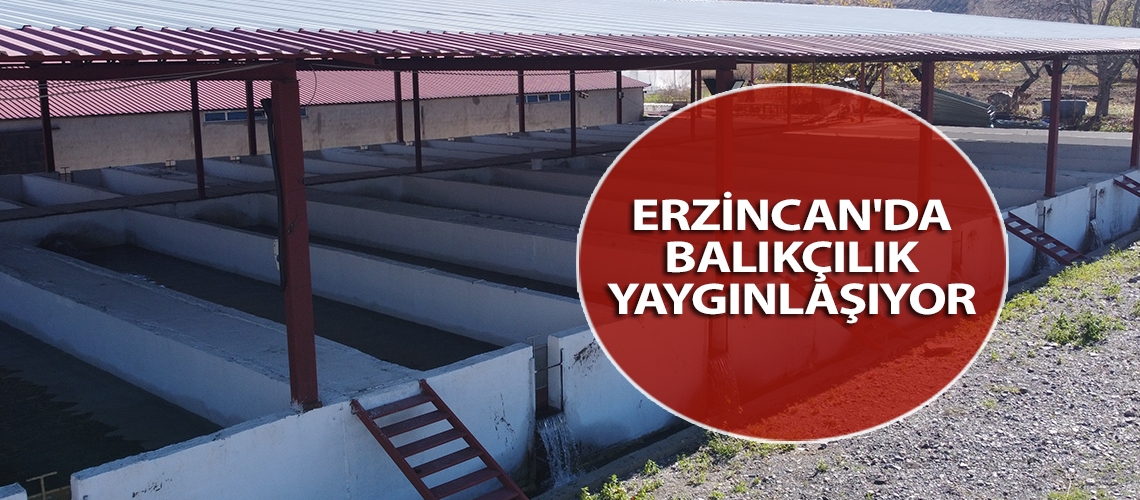 Erzincan'da balıkçılık yaygınlaşıyor