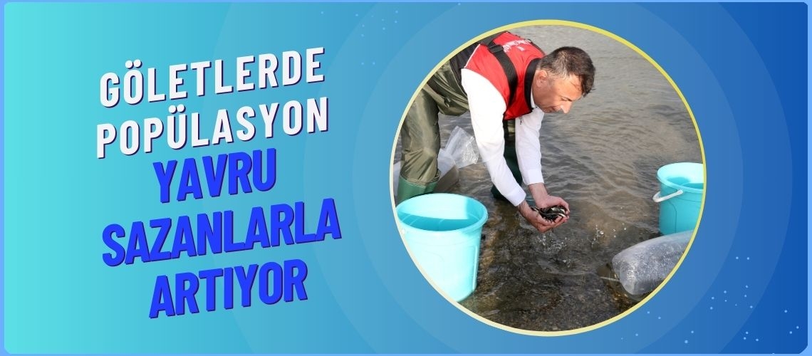 Göletlerde popülasyon yavru sazanlarla artıyor
