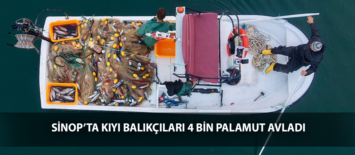 Sinop’ta kıyı balıkçıları 4 bin palamut avladı