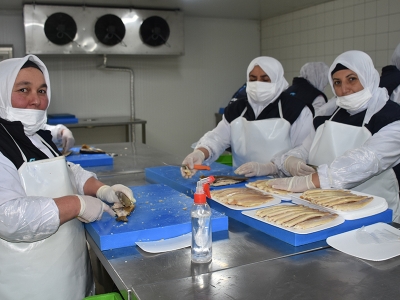 Afyonkarahisar’dan tonlarca balık ihraç ediliyor