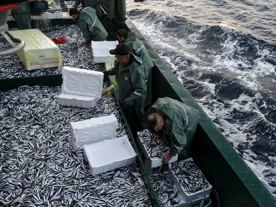 Bakan Kirişci balıkçılarla “Vira Bismillah” dedi