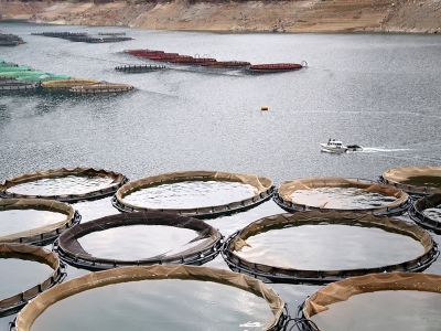 Denizi olmayan şehirden ihracat başarısı