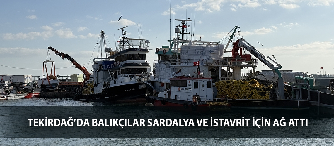 Tekirdağ’da balıkçılar sardalya ve istavrit için ağ attı