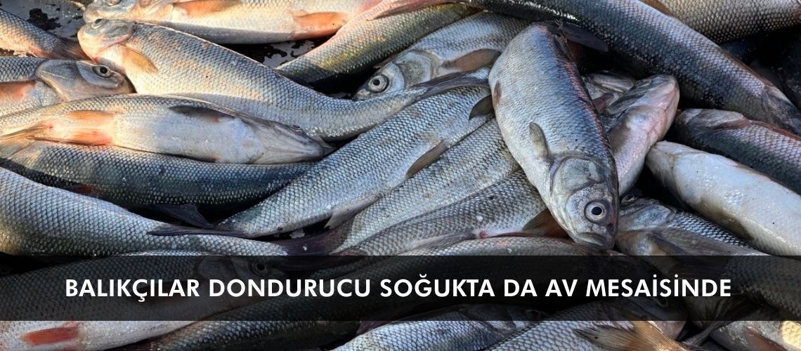 Balıkçılar dondurucu soğukta da av mesaisinde