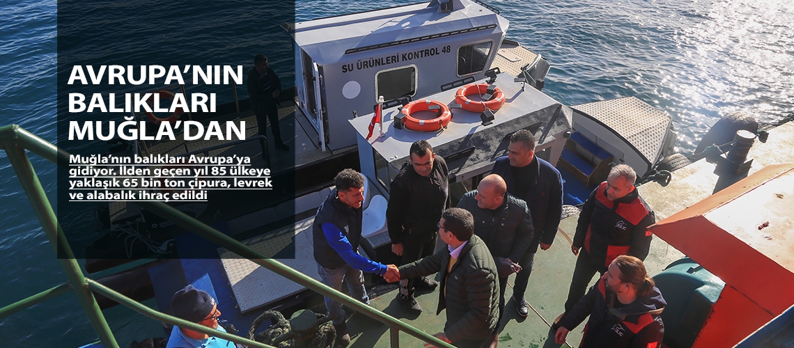 Avrupa’nın balıkları Muğla’dan