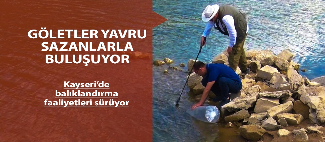 Göletler yavru sazanlarla buluşuyor