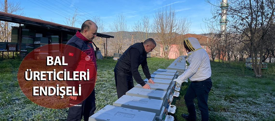 Bal üreticileri endişeli