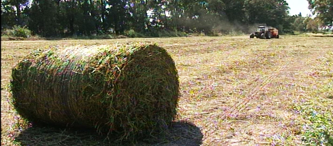 Balya Silajı