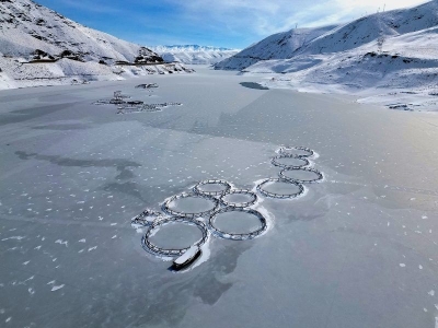 Van’da barajlar suya doydu