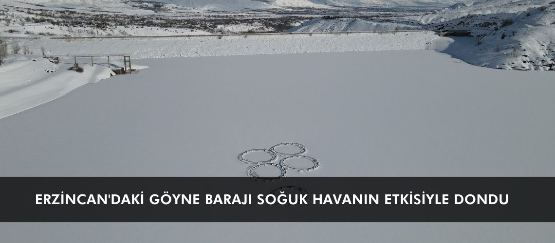 Erzincan'daki Göyne Barajı soğuk havanın etkisiyle dondu