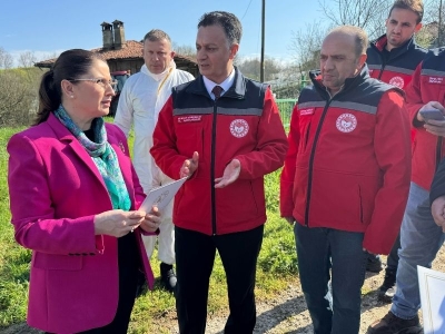 Kahverengi kokarca kış uykusunda yok edilecek