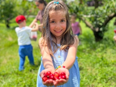 Minik öğrenciler tohumun yolculuğuyla buluştu