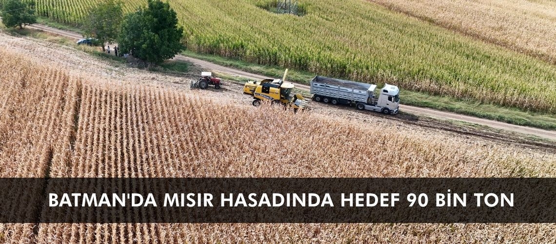 Batman'da mısır hasadında hedef 90 bin ton