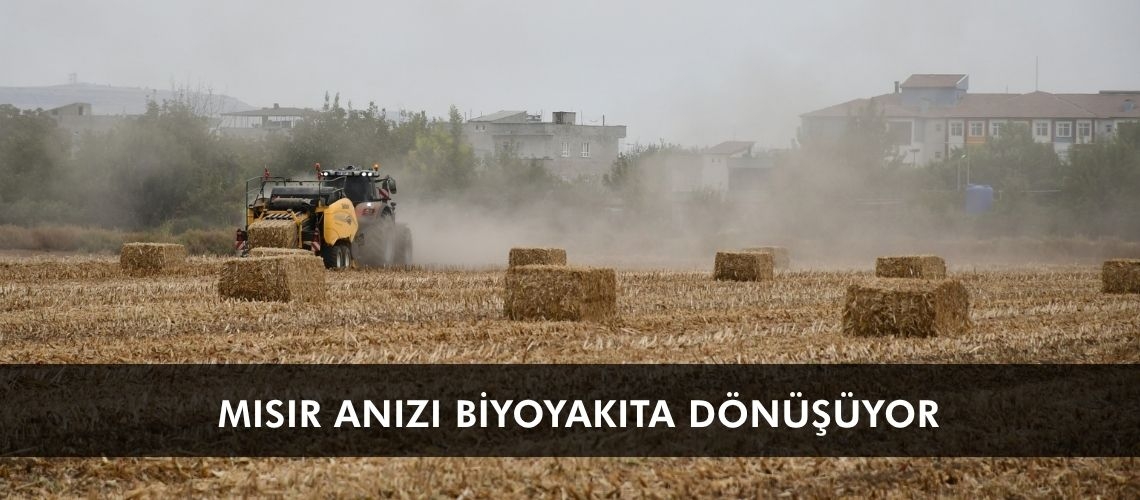 Mısır anızı biyoyakıta dönüşüyor