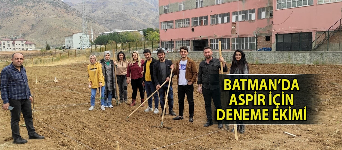 Batman’da aspir için deneme ekimi