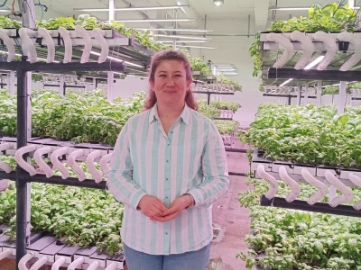 Bölgenin ilk dikey tarım yatırımı Batman’da kuruldu