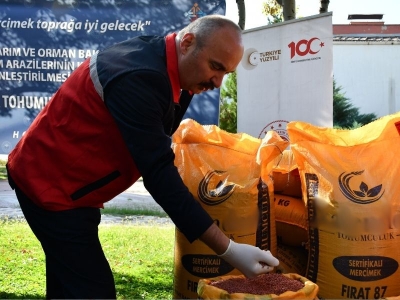 Batman'da çiftçilere 152 ton mercimek tohumu dağıtıldı