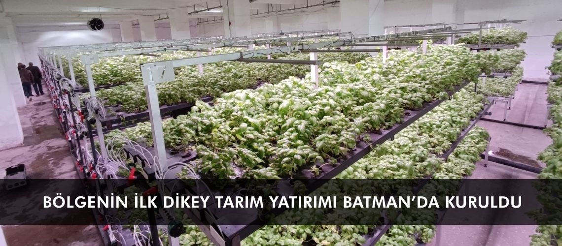 Bölgenin ilk dikey tarım yatırımı Batman’da kuruldu