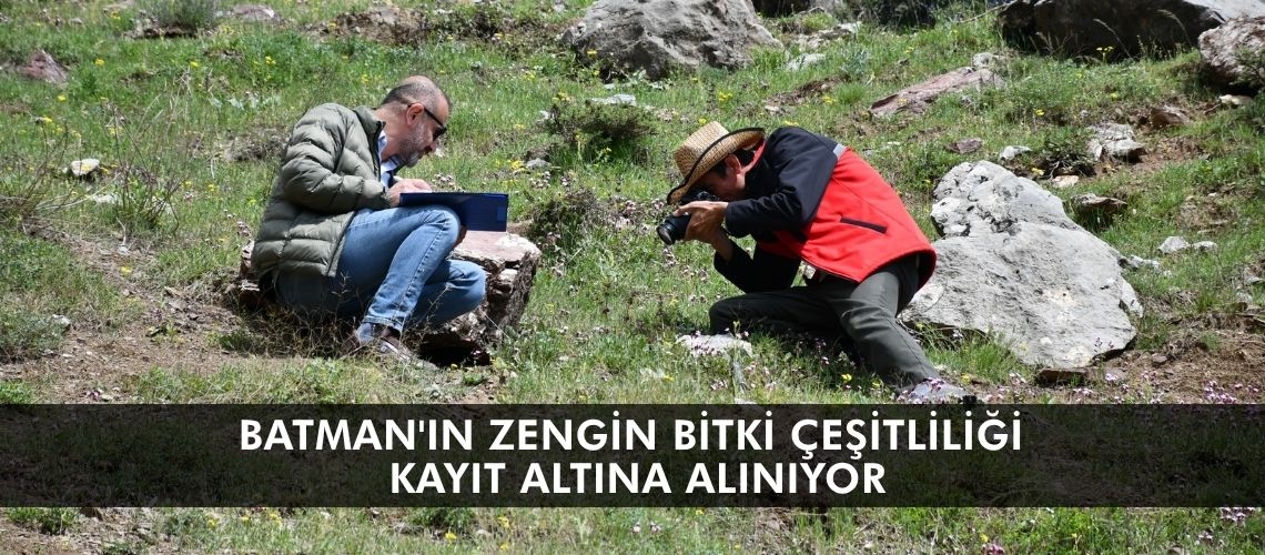 Batman'ın zengin bitki çeşitliliği kayıt altına alınıyor