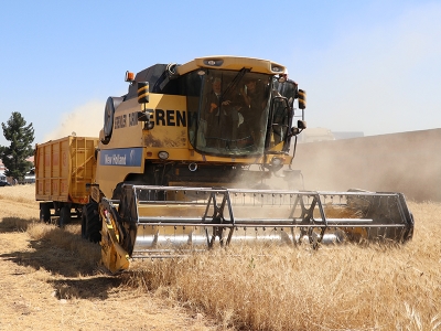 Batman’da hasat şenlikle başladı