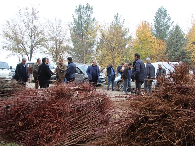 Batman’da meyveciliğe fidan desteği