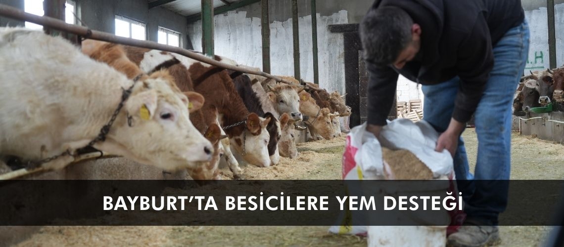 Bayburt’ta besicilere yem desteği