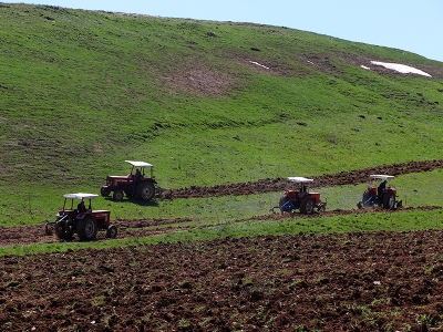 Atıl arazileri canlandıran proje başladı