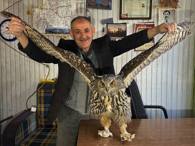 Yaralı baykuş emin ellerde