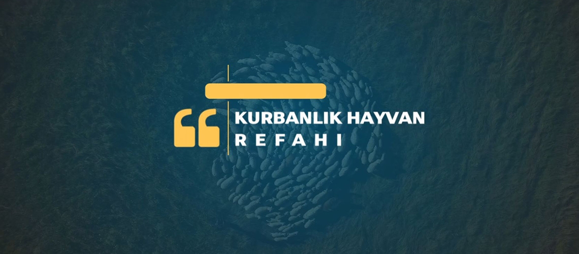 KURBANLIK HAYVAN REFAHI