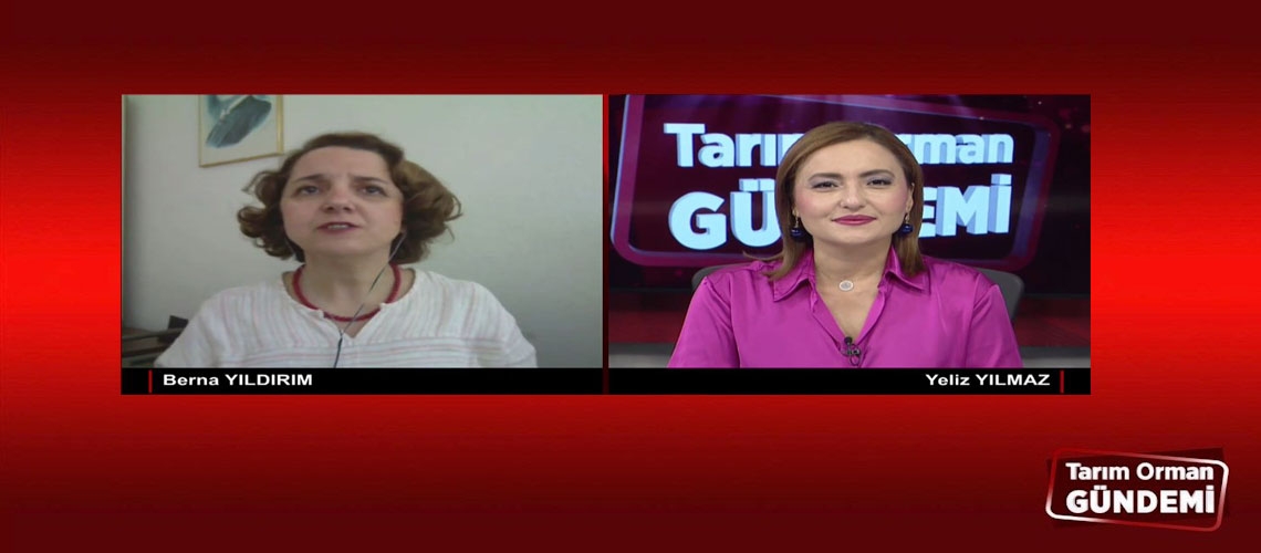 Tarım Orman Gündemi 23.10.2024