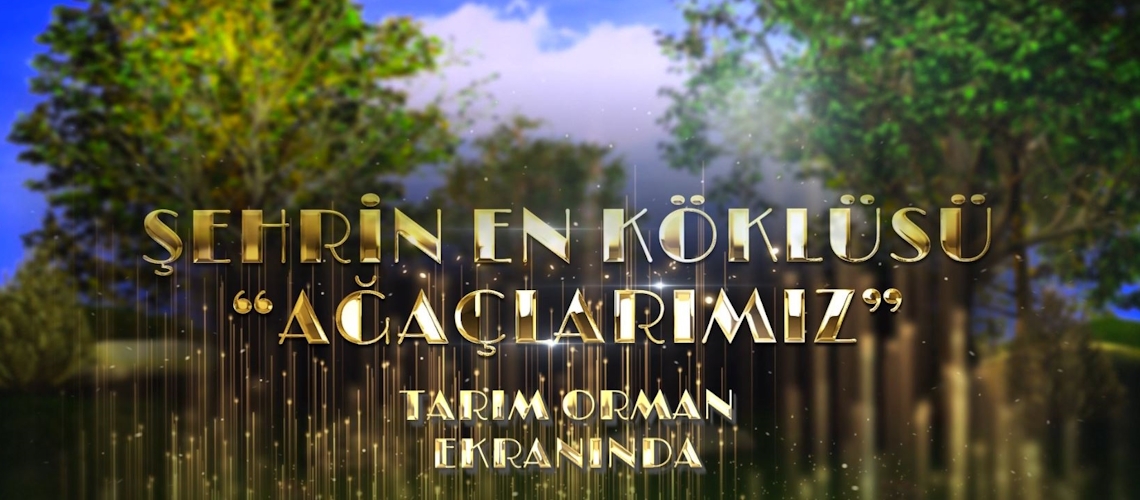 Şehrin En Köklüsü 