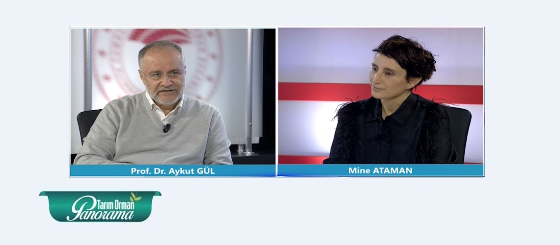 Tarım Orman Panorama 17. Bölüm