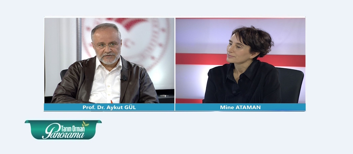 Tarım Orman Panorama 18. Bölüm