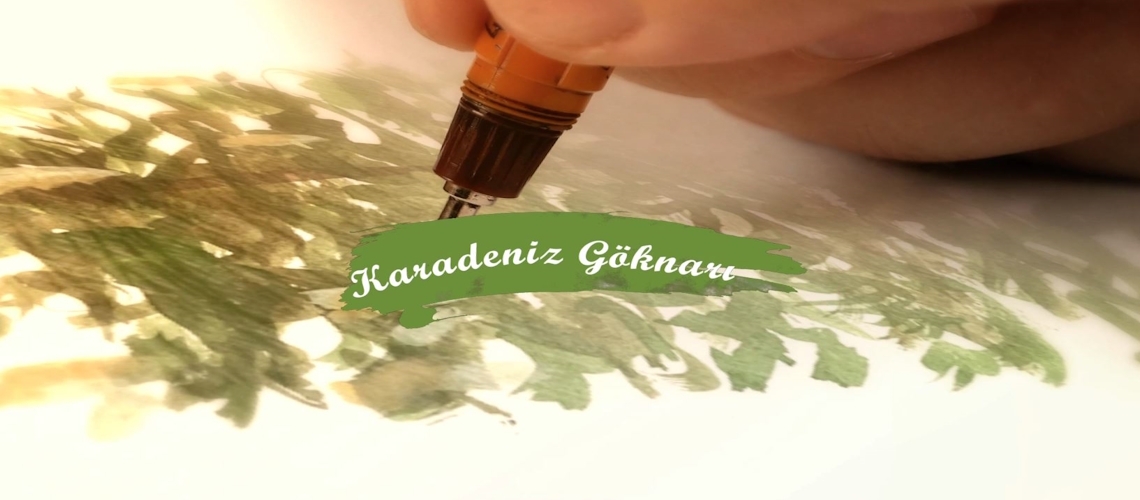 Şehrin En Köklüsü 